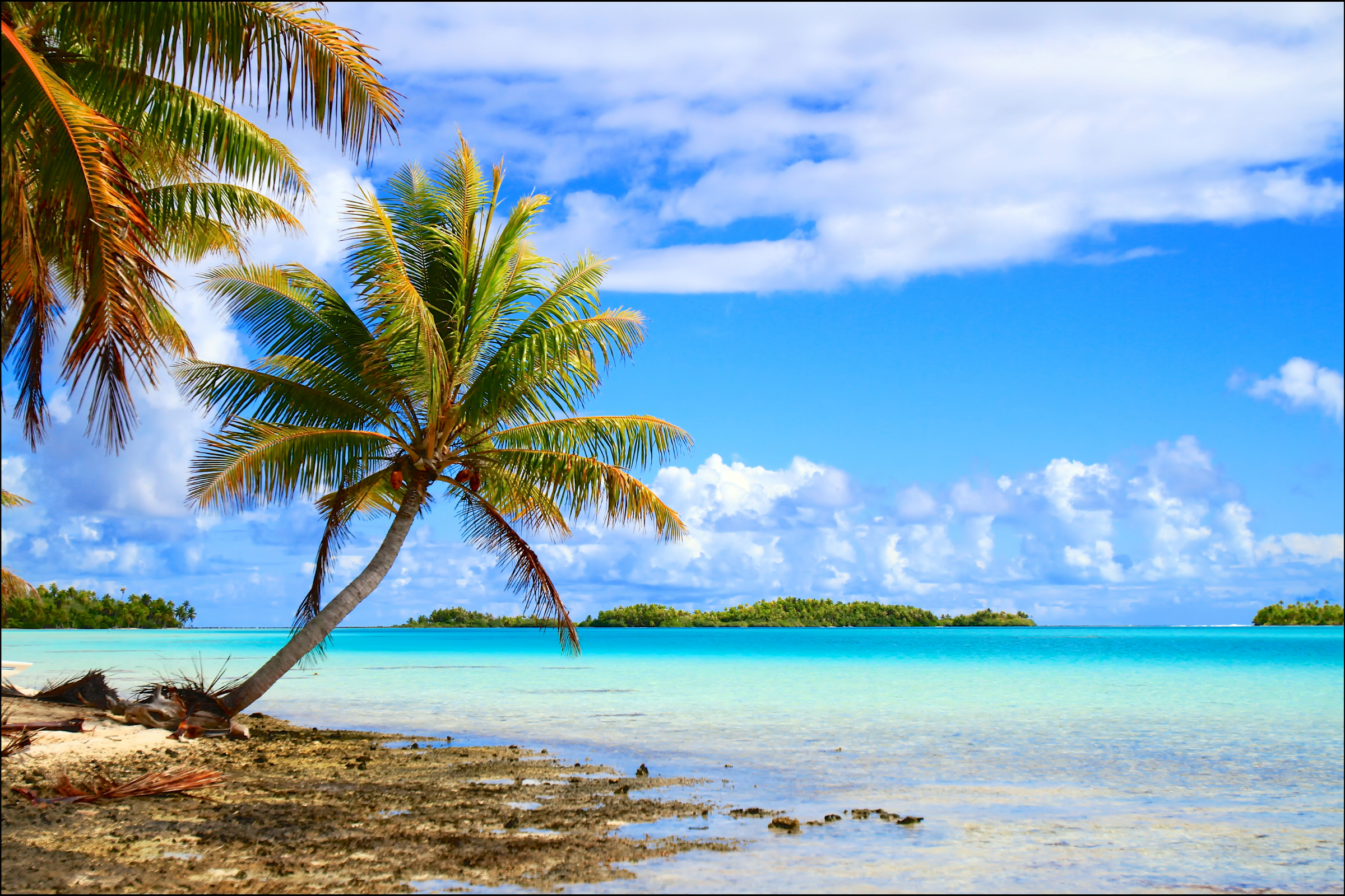 ari atoll (3).webp